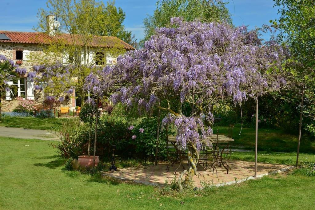 La Frapperie Acomodação com café da manhã La Pommeraie-sur-Sevre Exterior foto